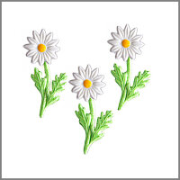 Wachsmotiv Margeriten-Blüten mit Grün, 3St.