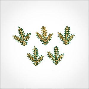 Wachsmotiv Weihnachtskerzen - Tannenzweig grün-gold 2cm, 5Stk.