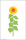 Wachsmotiv gro&szlig;e Sonnenblume mit St&auml;ngel